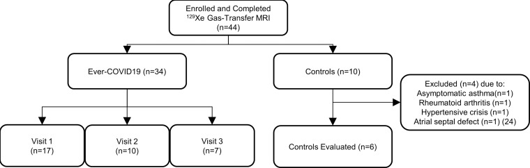 Consolidated Standards of Reporting Trials flow diagram.