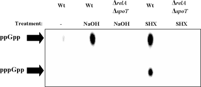 FIG. 5.