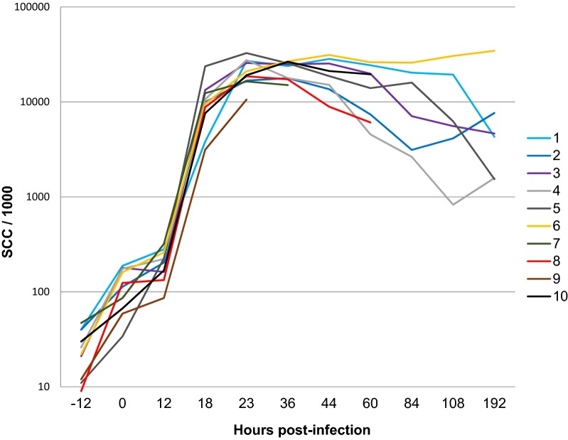 Figure 2