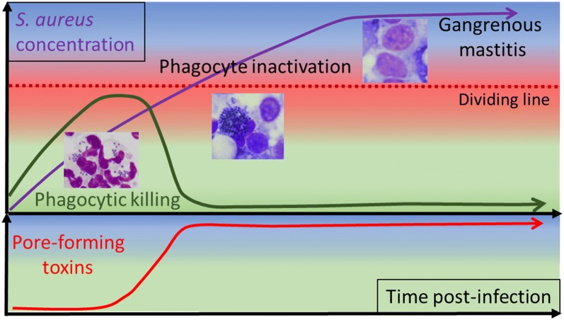 Figure 11