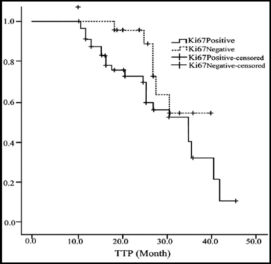 Fig.2