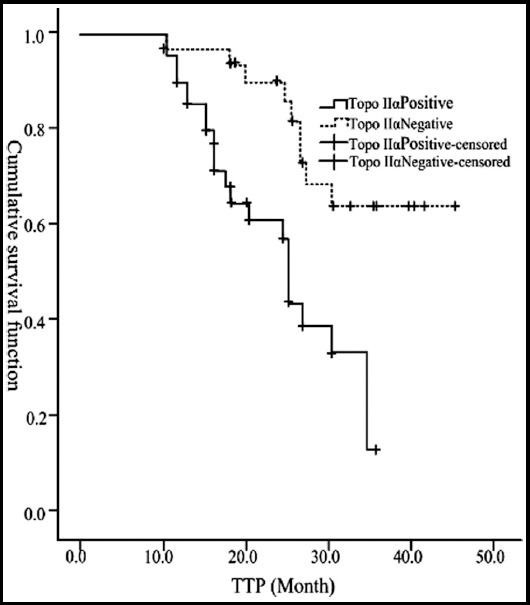 Fig.3