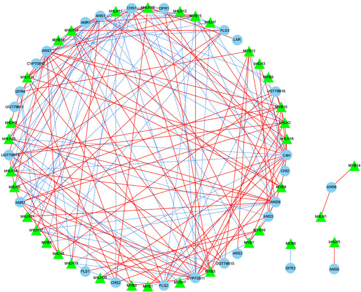 Figure 7