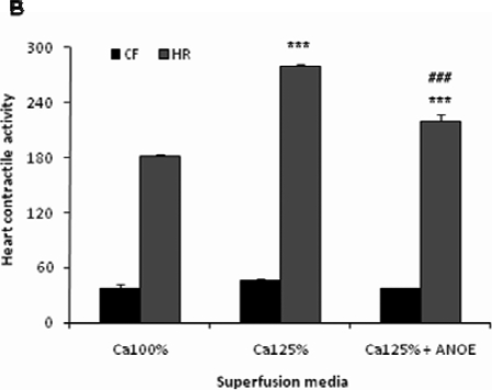 Figure 3B