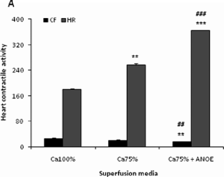 Figure 3A