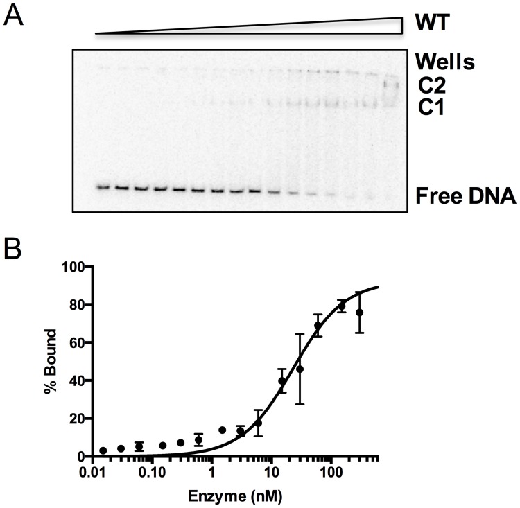 Fig 4