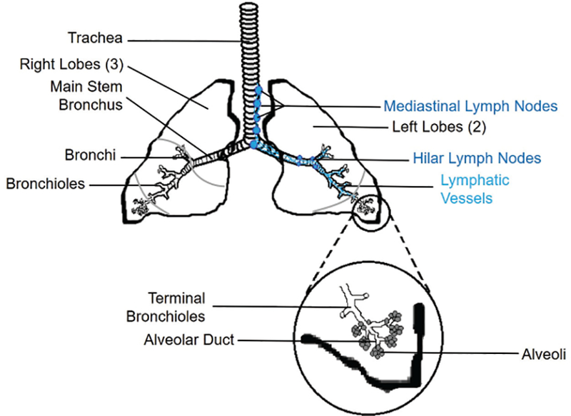 FIG. 1: