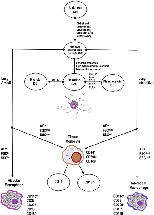 FIG. 3: