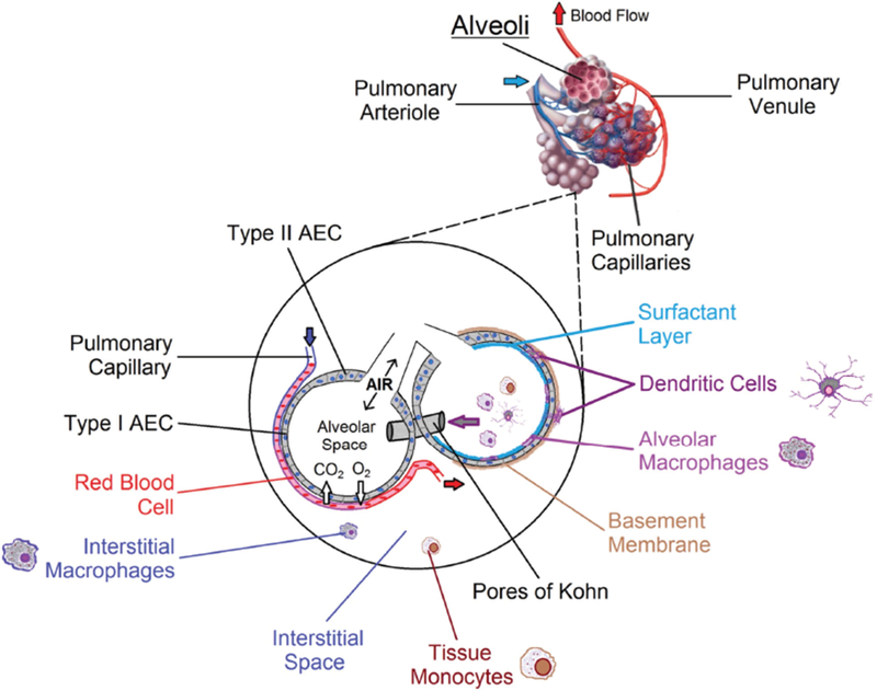 FIG. 2: