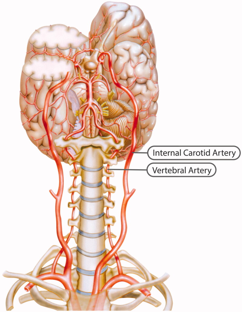 Figure 1.