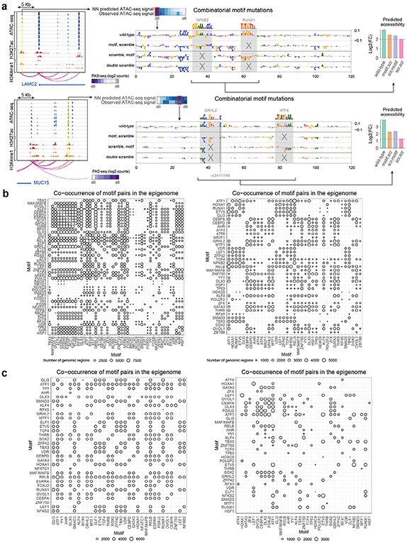 Extended Data Fig. 6 ∣