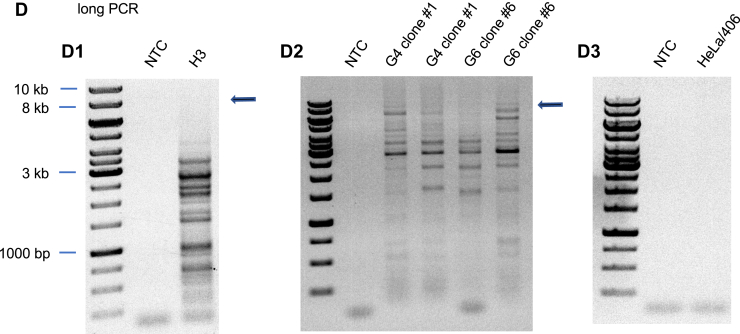 Figure 7