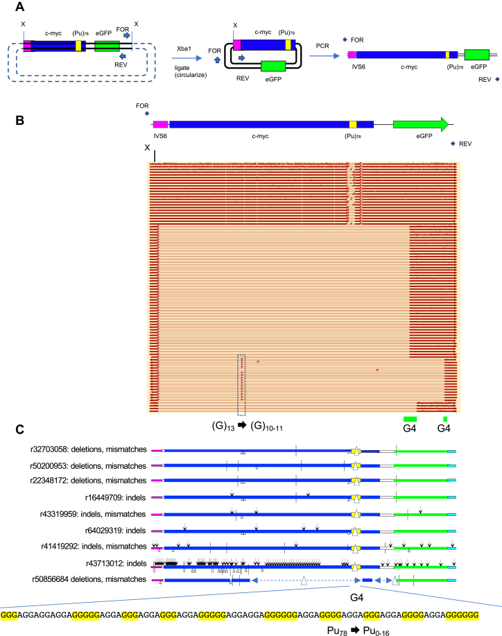 Figure 3