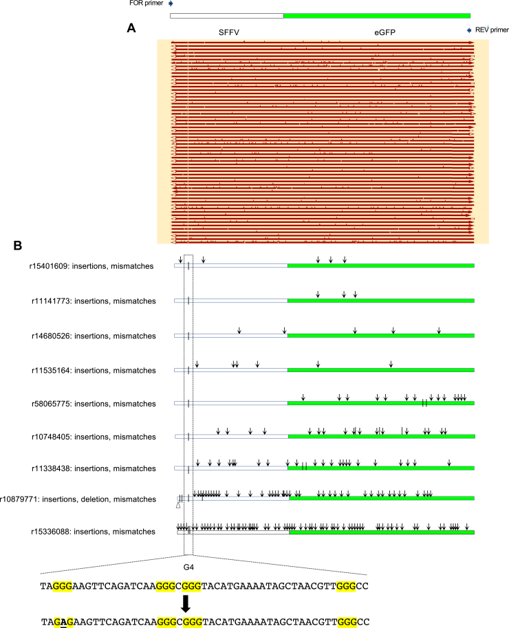 Figure 5