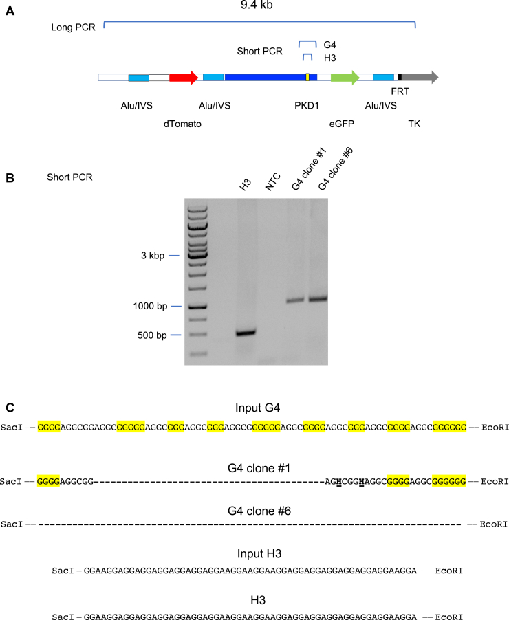 Figure 7