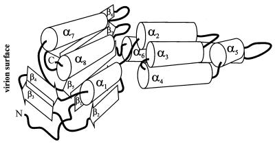 FIG. 5