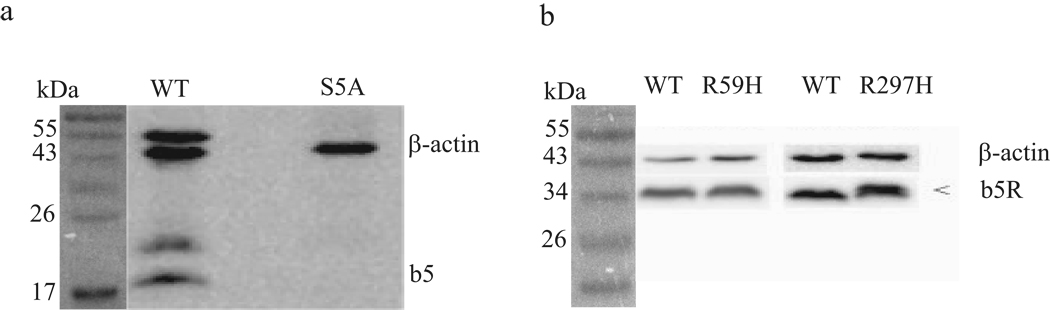 Fig 4