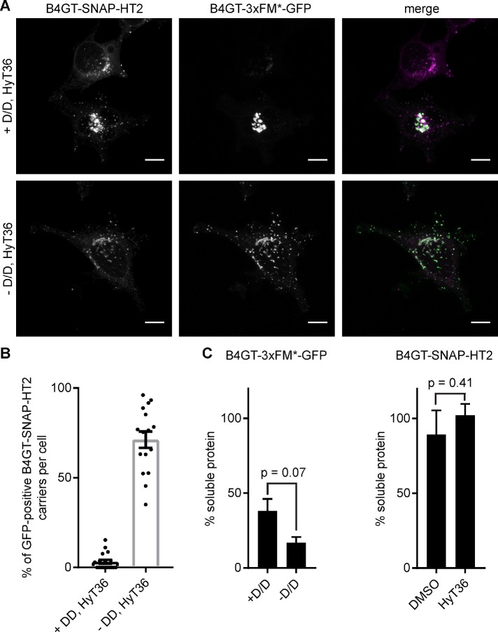 FIGURE 4: