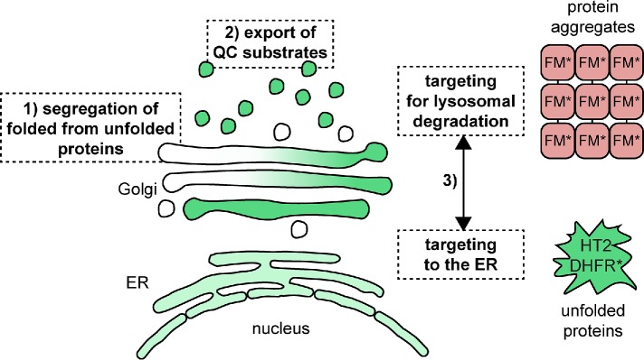 FIGURE 7: