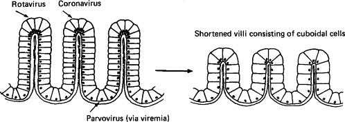 FIG. 10-3