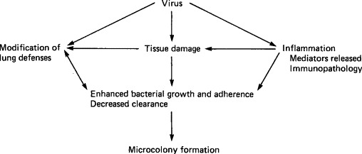 FIG. 10-2