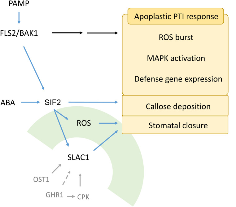 Figure 10.