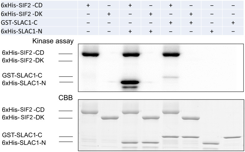 Figure 6.