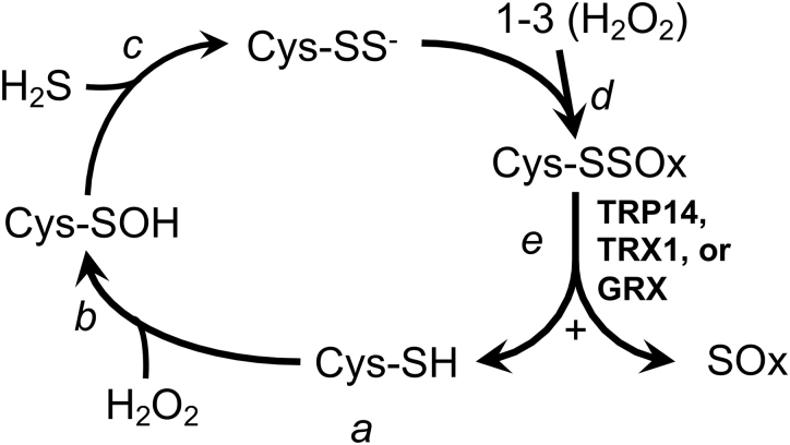 FIG. 6.