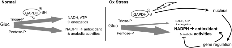 FIG. 5.