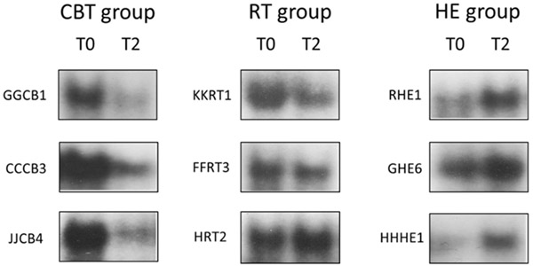 Figure 3: