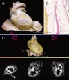 Fig. 4
