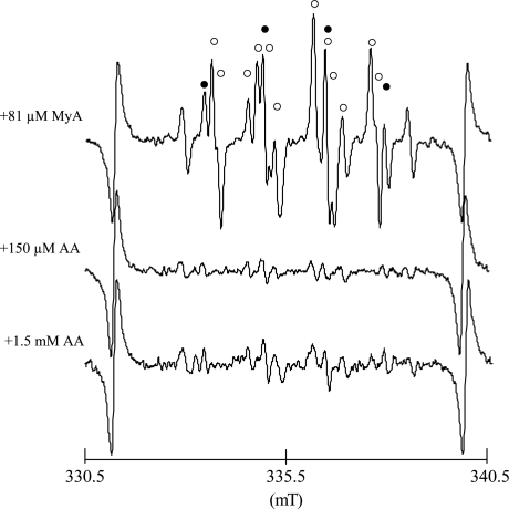 Fig. 4