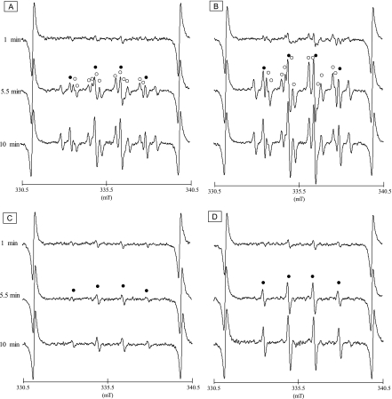 Fig. 2