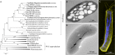 Fig 9