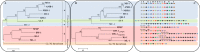 Fig 10