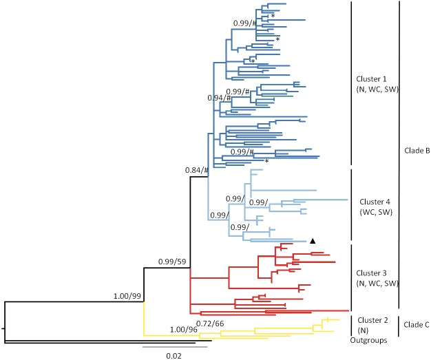 Figure 2