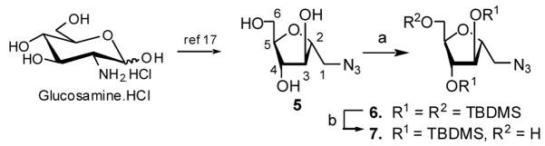 Scheme 1