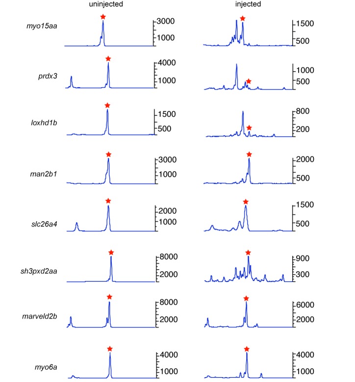 Figure 5.