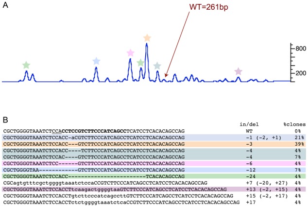 Figure 4.