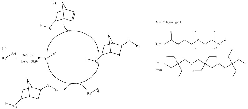 Scheme 2