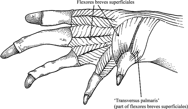 Fig. 9