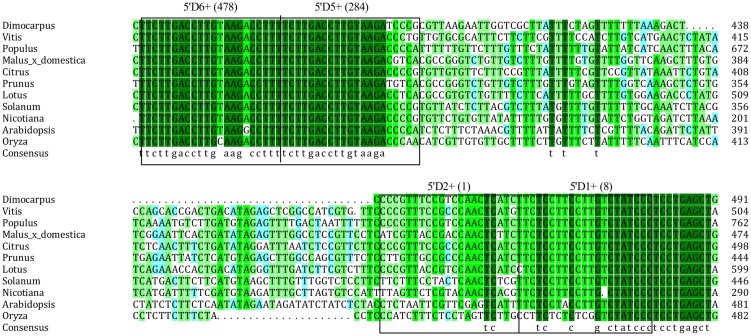 FIGURE 3