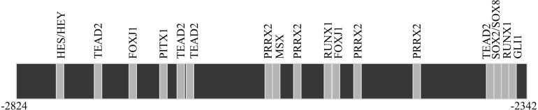 Fig. 3.