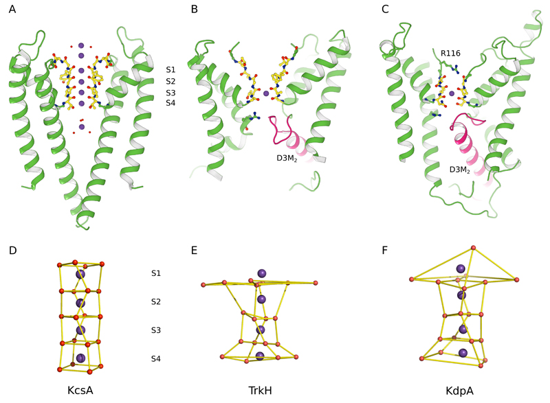 Extended Data Figure 3