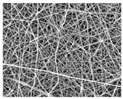 graphic file with name nanomaterials-09-00367-i010.jpg