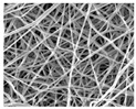 graphic file with name nanomaterials-09-00367-i003.jpg