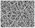 graphic file with name nanomaterials-09-00367-i004.jpg