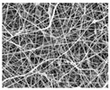 graphic file with name nanomaterials-09-00367-i008.jpg