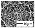 graphic file with name nanomaterials-09-00367-i001.jpg