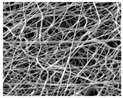 graphic file with name nanomaterials-09-00367-i009.jpg